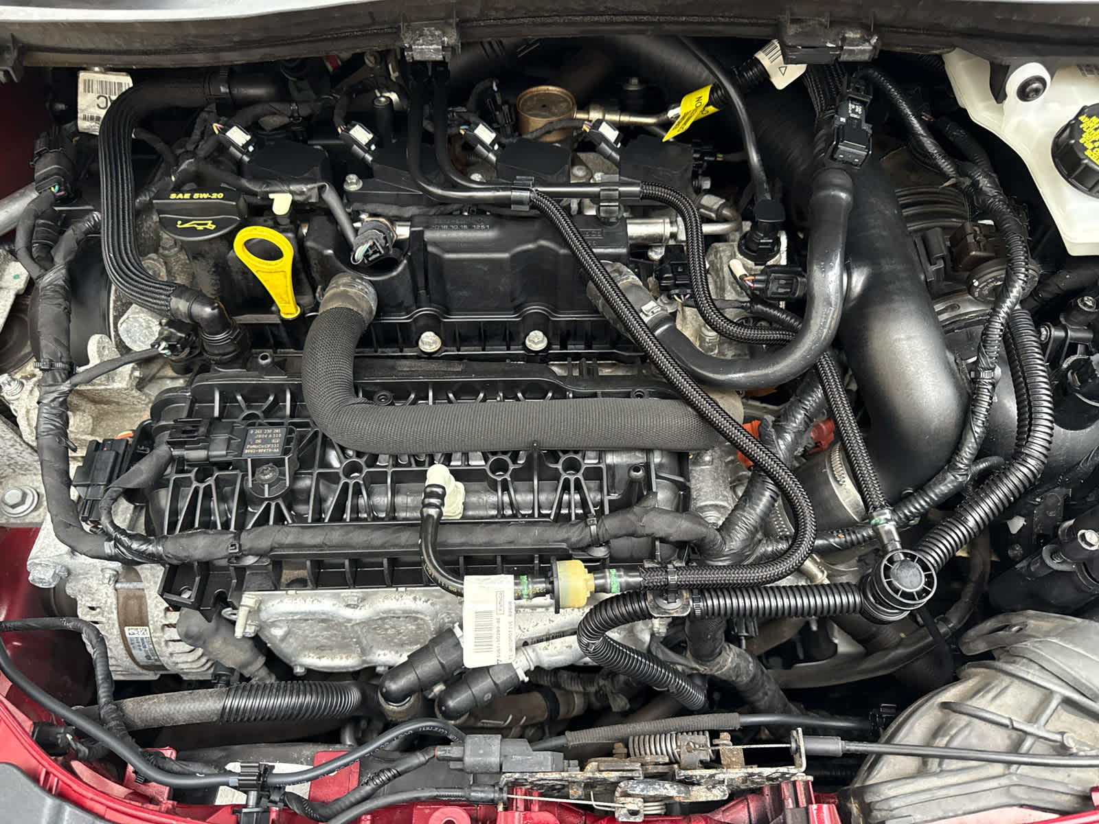 2019 Ford Escape SE 4WD