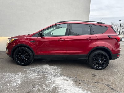 2019 Ford Escape SE 4WD